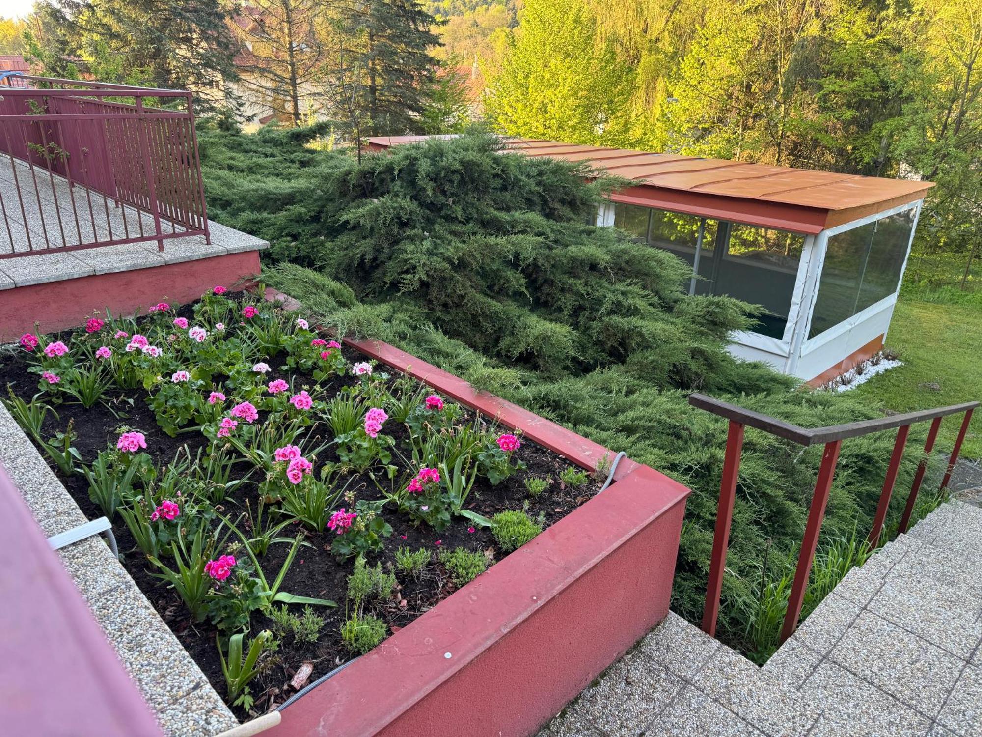 Penzion Zornicka Bardejovské Kúpele Exterior foto